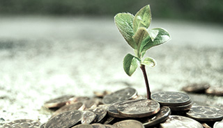 Why Unit Trusts